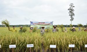 Kehadiran Gubernur Babel Erzaldi Rosman Disambut Meriah Masyarakat dan Kelompok Tani Karya Makmur Desa Kepoh