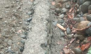Proyek Siluman Muncul di Luwu, Diduga Dikerja Asal-Asalan Tanpa Papan Proyek