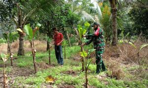 Koramil 2303/Pulomerak Adakan Bintahwil Han Pangan dan Himbauan Prokes