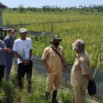 Kabid Prasarana dan Sarana Dinas Pertanian Babel Apresiasi Petani di Desa Batu Betumpang