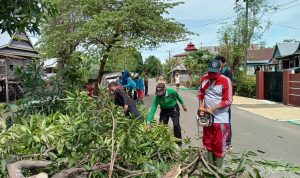 PJ Desa Bontoparang Adakan Sabtu Bersih Pangkas Pohon di Sepanjang Jalan