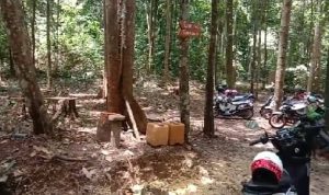 Luar Biasa,Ternyata Provinsi Bangka Beltung Miliki Wisata Alam yang Sangat Indah