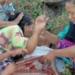 Nekat Panjat Pohon Lontar Setinggi 15 Meter, Pria Pembuat Tuak Manis Tewas di Tempat