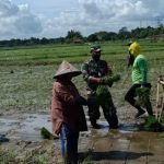 Babinsa Koramil 2306/Mancak Giat Bintahwil Pembagian Masker