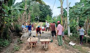 Warga Desa Gedong Dalam Antisipasi Musim Hujan, Perbaiki Gorong – gorong