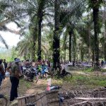 Polres Bangka Barat Minta Penambang Hentikan Aktivitas di Kawasan HGU PT GSBL