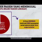 Presiden RI Secara Virtual Sampaikan Kunci Penangan Varian Omicron Ada Dua Hal, Ini Penjelasannya