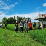 Dorong Produktivitas Pertanian, Andi Sudirman Inisiasi Mandiri Benih Untuk Petani