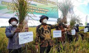 Ekonomi Sulsel Tumbuh, Gubernur : Alhamdulillah, Sektor Pertanian Berperan Besar