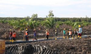 Masyarakat Bangka Tak Perlu Lagi Risau Kekurangan Pasokan Listrik Karena Adanya Backup dari Sistem Kelistrikan Sumatera