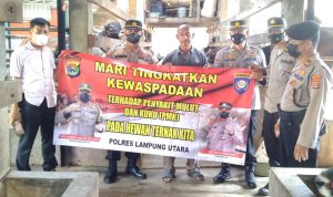 Jajaran Polres Lampung Utara Sosialisasi Pencegahan PMK kepada Peternak Sapi