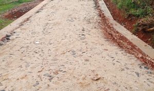 Desa Kali Cinta Giat Lakukan Pembangunan untuk Kesejatraan Masyarakat