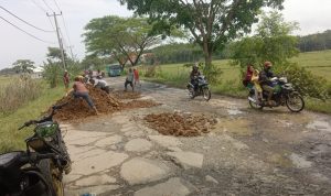 Rusak Parah dan Tak Kunjung Dibangun, KKPMP MC Malingping Lakukan Pengurugan Jalan Baru Simpang Beyeh