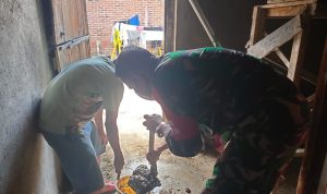 Babinsa Koramil 2302/Bojonegara Giat Pembuatan Rumah Warga