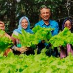 KU PKK Monica Haprinda Bersama Perwakilan BI Prov Babel Petik Panen Sayuran hidroponik KWT di Belinjo