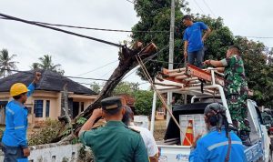 Danramil 05/Sukadana Bersama Anggota Bantu Evakuasi Pohon Tumbang