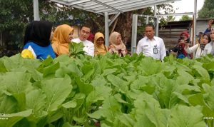 Lomba Dasawisma Tingkat Kota Pangkalpinang Dihadiri Ketua TP PKK Monica Haprinda