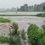 Hujan Takkunjung Berhenti, Banjir Telah Terjadi Di Mana-Mana