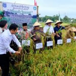 Dorong Kemandirian Desa, PLN Bantu Bibit Padi dan Pemanfaatan FABA untuk Pupuk di Bangka Tengah