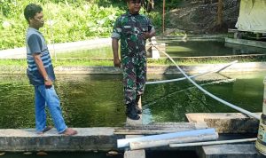 Babinsa Koramil 2306/Mancak, Bintahwil Pemeliharaan Ikan Nila Merah