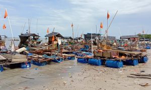 Masyarakat Penambang: “Pak Gubernur, Tolong Tunjuk Kemana Kami Harus Jual Timah”