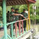Dandim 0429/Lamtim Tinjau Renlok Penanaman Pohon Mangrove