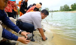 Basarnas Babel Kagum, Faba PLN Membuktikan Bisa Menaikan pH Air dan Sangat Efektif Netralisasi Sifat Asam