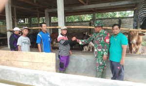 Tekan Penularan PMK, Babinsa Way Bungur Dampingi Vaksin Booster dan Pemasangan Eartag