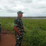 Sukseskan Program Ketahanan Pangan, Dandim 0432/Basel Kunjungi Lahan Sawah Desa Pergam