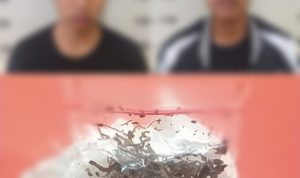 Bawa Tembakau Sinte, Dua Remaja Ditangkap Polisi