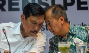 Dorong Investasi Tesla di Indonesia, Luhut Binsar: Kita Lihat Saja Nanti