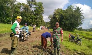 Babinsa Koramil Sekampung Bersama Warga Timbun Jalan Berlubang