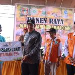 Panen Raya Jamaah Tani Muhammadiyah, Bupati Wajo Dorong Petani Kembangkan Pola Pertanian