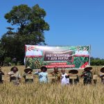 Pj. Bupati Takalar Harap Kualitas Benih dan Pola Tanam Diperhatikan, Panen Perdana Padi Nusantara 1 juta Hektar