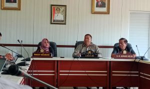 Ringgit Kecubung Minta PLN Atur Jadwal Pemadaman Bergilir Per Kabupaten/Kota