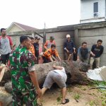 Babinsa Koramil 2301/Cilegon, Karbak Pemindahan Batang Pohon