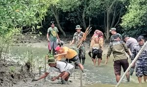 Jaga Ekosistem Laut, Kodim 0429/Lamtim Tanam 1000 Pohon Mangrove