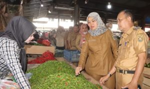 Menjelang Idul Fitri 1444 H, Chusnunia Lakukan Pemantauan Kesedian dan Harga  Pangan di Pasar Gintung