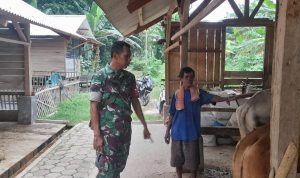 Babinsa Koramil 2302/Bojonegara, Bintahwil Pengecekan Ternak Masyarakat