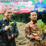 Pengembalian Kejayaan Sutera, Pemprov Sulsel Kembali Berikan Bantuan Bibit Murbei Untuk Kabupaten Wajo