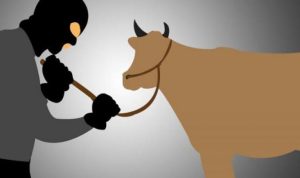 Sigap, Polres Takalar Berhasil Gagalkan Aksi Pencurian Ternak Warga Mannongkoki