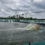 Tidak Pernah Uji Lab IPAL, 2 Perusahaan Tambak Udang di Dusun Merbau Mendapat Sanksi