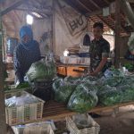 Babinsa Koramil 2301/Cilegon, Komsos Membahas Tentang Penggunaan Pupuk