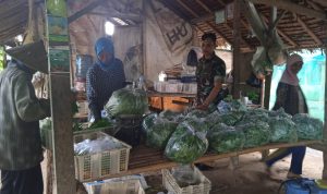 Babinsa Koramil 2301/Cilegon, Komsos Membahas Tentang Penggunaan Pupuk
