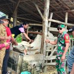 Babinsa 06/Purbolinggo Dampingi Satgas PMK Vaksin Booster dan Pemasangan Eartag