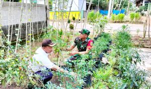 Komsos Wilayah Binaan, Babinsa Ajak Warga Manfaatkan Lahan Kosong