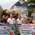 Pemkab Bangka Selatan Terima 83 Ekor Sapi dari 36 Perusahaan