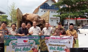 Pemkab Bangka Selatan Terima 83 Ekor Sapi dari 36 Perusahaan