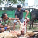 Kodim 0623/Cilegon Melaksanakan Pemotongan Hewan Qurban