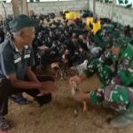 Ditemani Segelas Kopi, Pasiter Satgas TMMD 117 Komsos dengan Pengusaha Ayam (kampung)KOB
